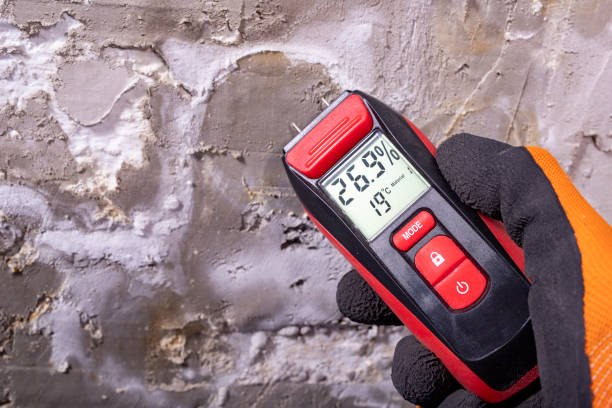 Best Mold Remediation  in Alva, OK