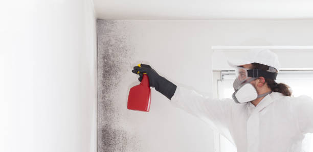 Best Crawl Space Mold Removal  in Alva, OK